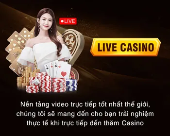 Tổng quan chương trình VIP vv88
